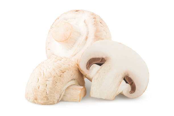 istock mushroom, champignon, isolated on white background, clipping path, full depth of field 1048052404