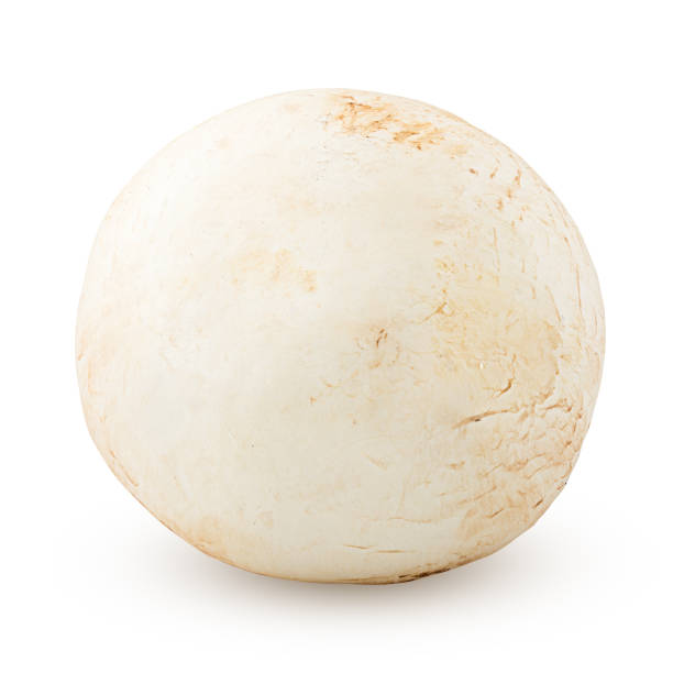 istock mushroom, champignon, isolated on white background, clipping path, full depth of field 1048052890