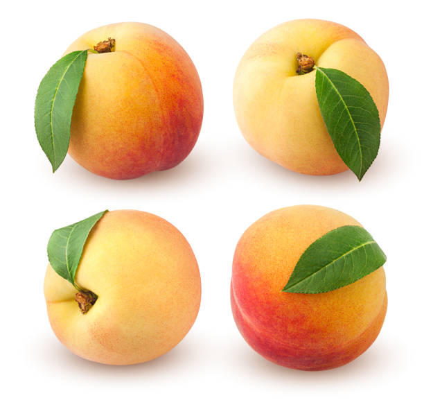 istock Peach isolated on white background, clipping path, full depth of field 1048053572