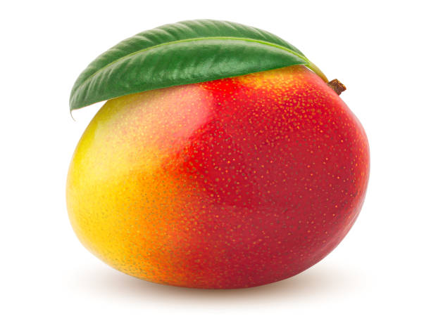 istock mango isolated on white background, clipping path, full depth of field 1048054632