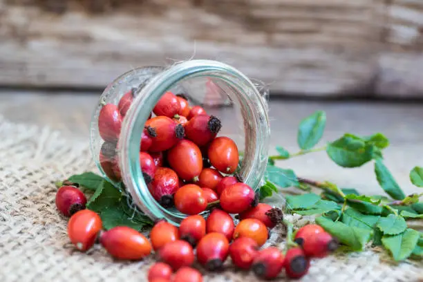 fresh red rose hip in a glass