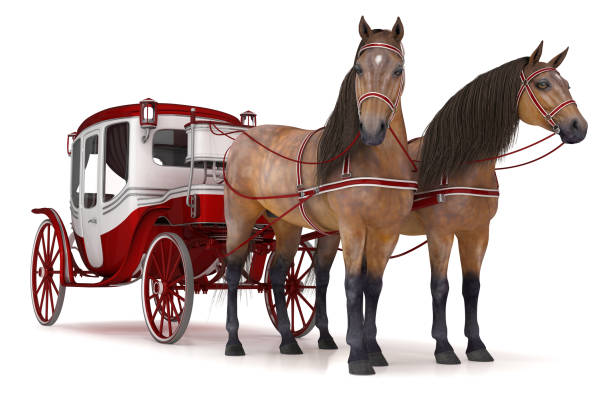 istock Pair of bay horses pulled into a carriage. 1048055472