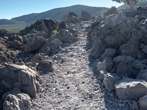 Obsidian Flow Trail in Newberry National Volcanic Monument.  This is all glass in the form of Pumice or Obsidian.