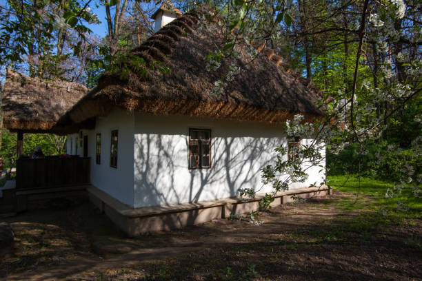 narodowy pomnik słynnego poety cobzara tarasa szewczenki w kanev, region czerkassy. w wieku typowy chłopskiej gliny białe gospodarstwo 19 wieku. widok z przodu i miejsce na tekst na zielonym trawniku trawiastym - thatched roof zdjęcia i obrazy z banku zdjęć