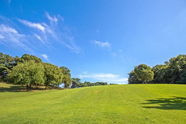 istock Blue skies and grass 1048084486