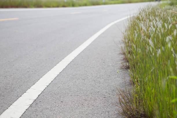 istock Asphalt road with grass flowers. 1048084620