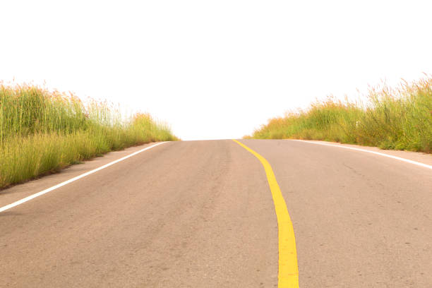 Empty country asphalt road with meadow isolate on white background. Country concept