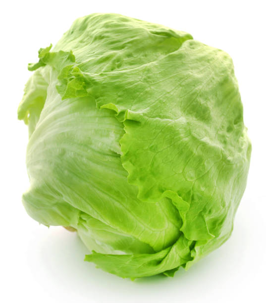 fresh iceberg lettuce - head cabbage imagens e fotografias de stock
