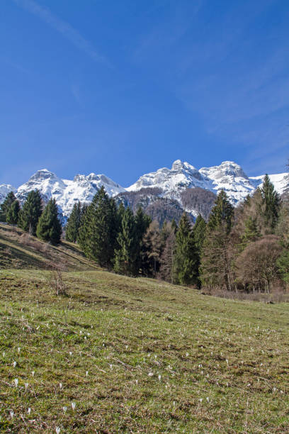 istock In the Vigolana Mountains 1048090528