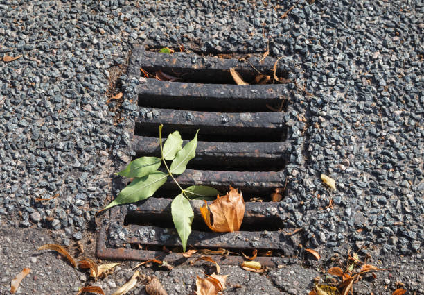 istock Sewer grilles on the street. 1048091698