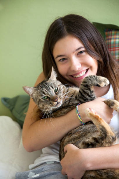 istock My cat is sleepy 1048099804