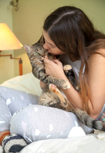 istock My cat is sleepy 1048099834