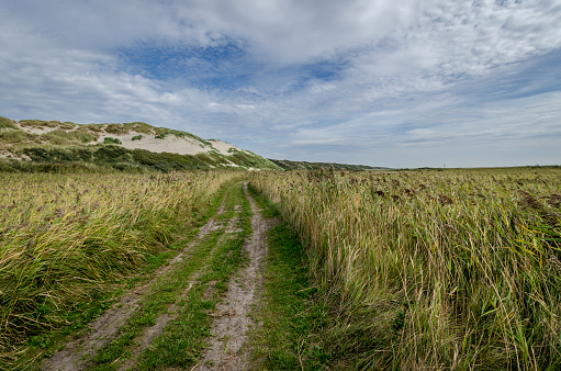 Sand road on the boschplaat with dunes in the background