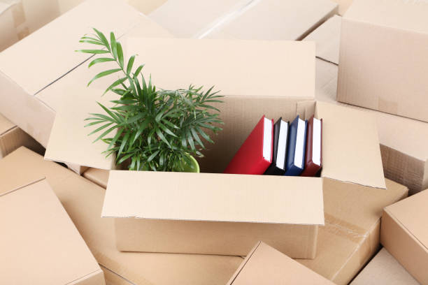 istock Cardboard boxes with green plant and books 1048115432