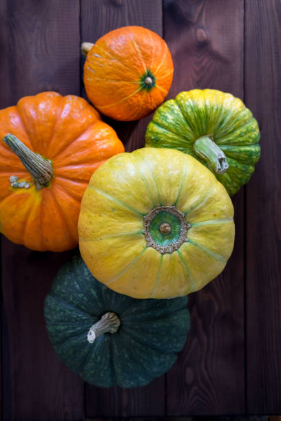 istock Variety Of Pumpkins 1048121080