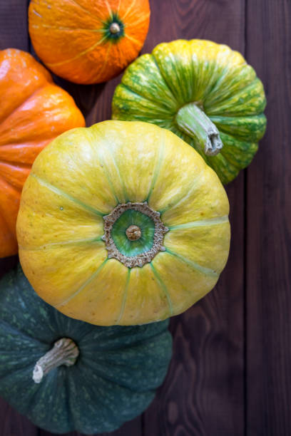 istock Group Of Pumpkins 1048121148