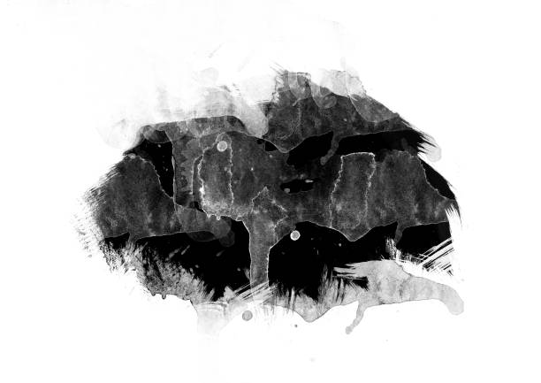 istock Black color graphic patches graphic brush strokes design effect element for background 1048124784