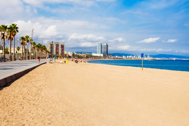 istock Playa Barceloneta city beach, Barcelona 1048126098