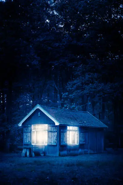 Photo of Cabin in forest at night.