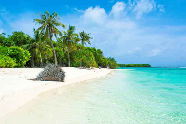 istock Beautiful sandy beach in uninhabited island 1048142962