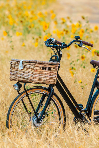 istock Dutch electric black cargo bicycle with basket 1048153222