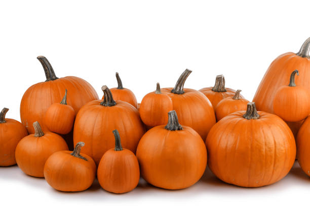 istock Heap of orange pumpkins 1048171694