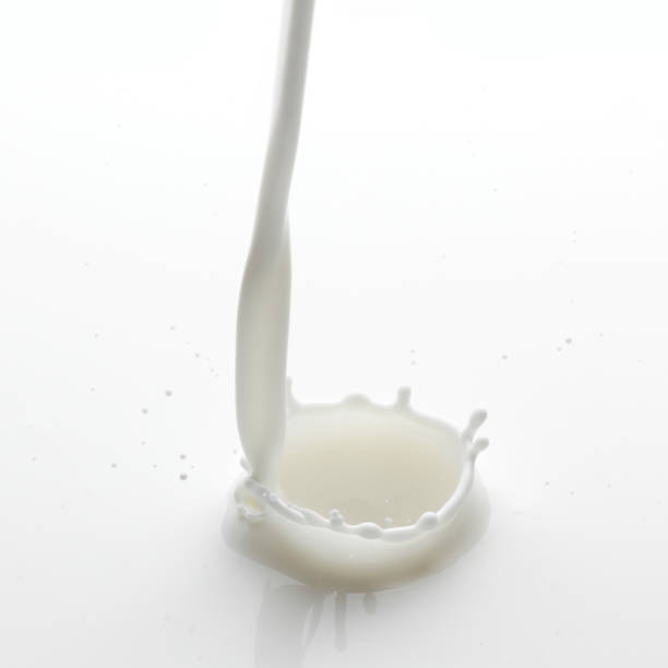 istock Pouring milk splash isolated on white background macro 1048178584