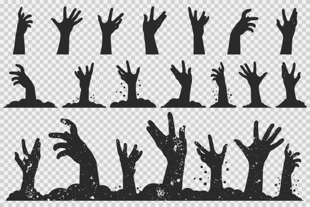 ilustraciones, imágenes clip art, dibujos animados e iconos de stock de silueta negra de las manos de zombie. vector iconos halloween conjunto aislados en un fondo transparente. - zombie halloween cemetery human hand