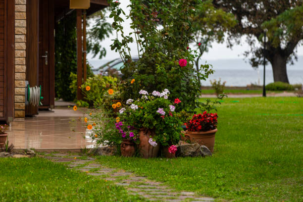 Green area in yard. Plants in garden. Planted plants in ground. Greening of city.