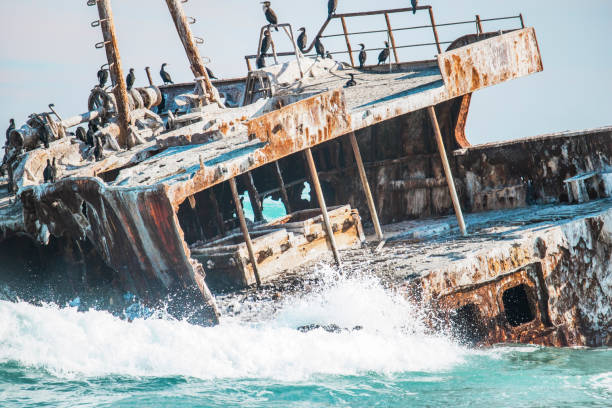 istock Rusted shipwreck on the shore with Cape Cormorant birds. 1048203594