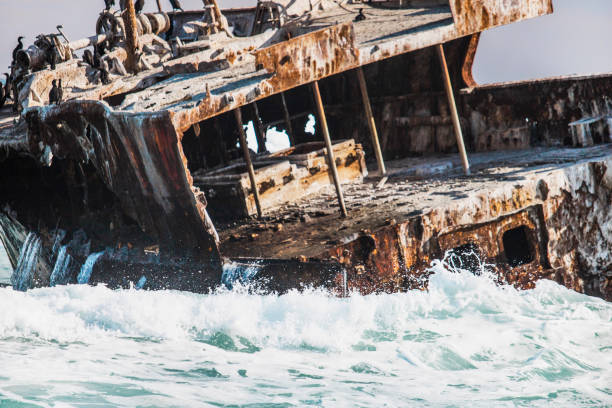 istock Rusted shipwreck on the shore with Cape Cormorant birds. 1048203674