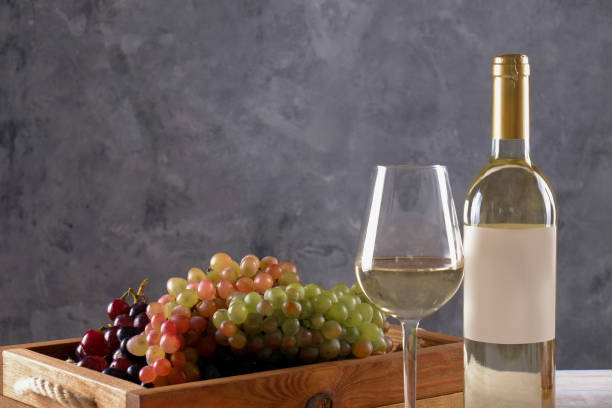 istock Showcase of vintage wine bottles with empty sticker labels. 1048206380