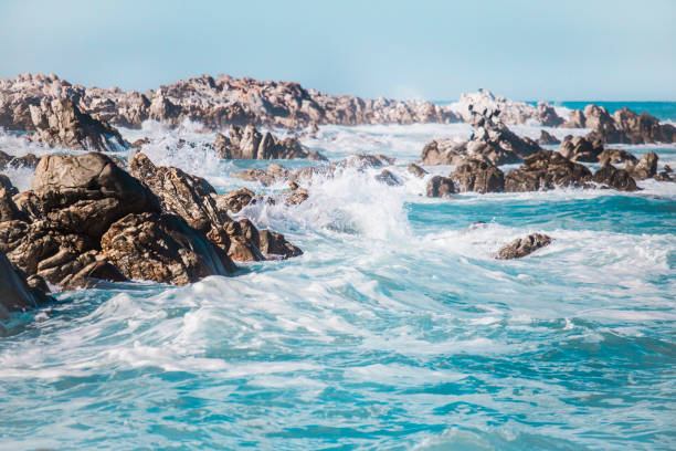 Exploring the Southern most point in Africa - Cape Agulhas