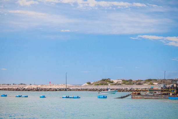 istock Speed boat arrives in Struisbaai harbour. 1048207906