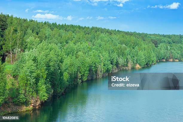 Litoral De Um Submersos Areiabox - Fotografias de stock e mais imagens de Ao Ar Livre - Ao Ar Livre, Beira d'Água, Bétula