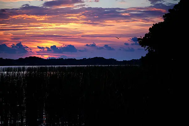 Tarpon Lake at Sunset, Florida