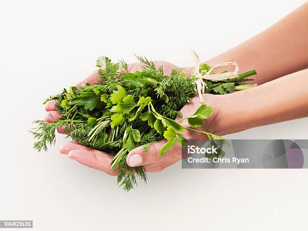 Mujer Sosteniendo Un Ramo De Hierbas Foto de stock y más banco de imágenes de Perejil - Hierba - Perejil - Hierba, Mujeres, Culantro