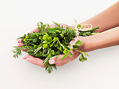Woman holding bouquet of herbs
