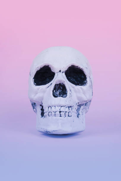 istock Skull on trendy pastel pink background. Creative Halloween concept. 1048216646