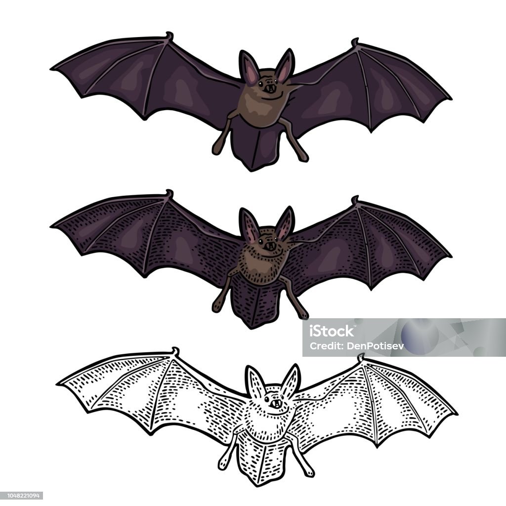 Bat flying with scary face. Vector black vintage engraving Bat flying with scary face. Vector vintage engraving and flat illustration. Isolated on white background. For invitation and poster Halloween. Bat - Animal stock vector