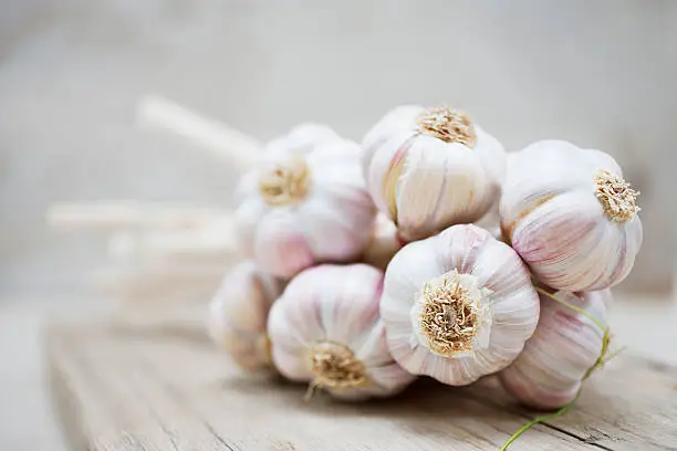 Photo of Close up of purple garlic bunch