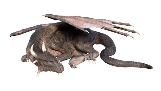 istock 3D illustration fantasy dragon on white 1048221238