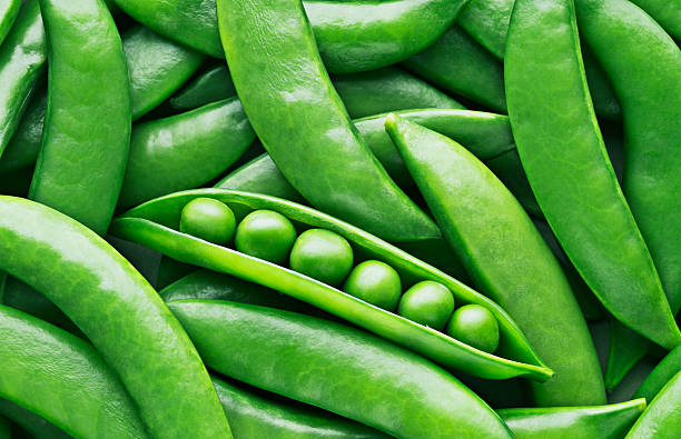 Peas and pea pods  legume family stock pictures, royalty-free photos & images