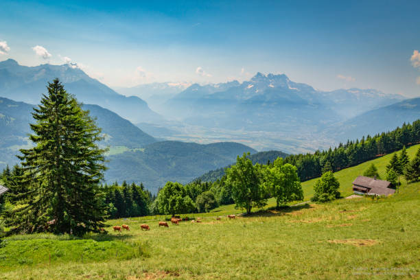 laysin アルプス - mountain rock sun european alps ストックフォトと画像