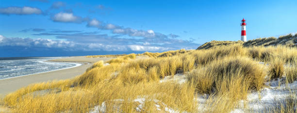 Red and white striped lighthouse on sand dunes of island Sylt in winter stock photo