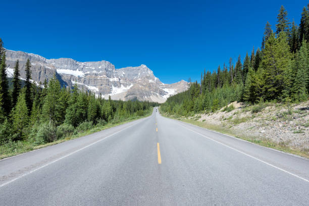 istock Road Trip in the Canada - Icefields Parkway 1048237438