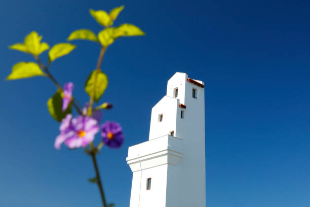 Lighthouse with flowering plant in Ciboure, Southwest France