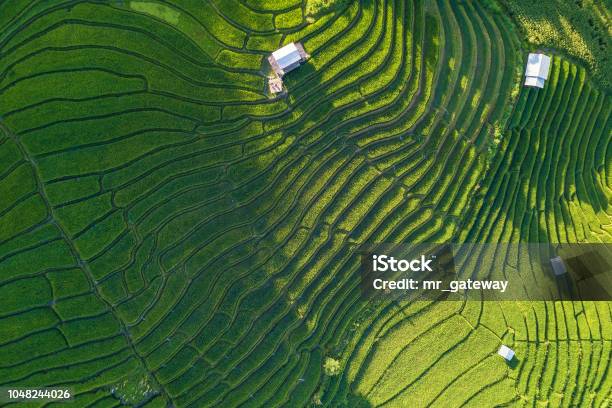 Aerial Views Of Small House And Rice Terraces Field At Pabongpaing Village Rice Terraces Maejam Chiang Mai Thailand Stock Photo - Download Image Now