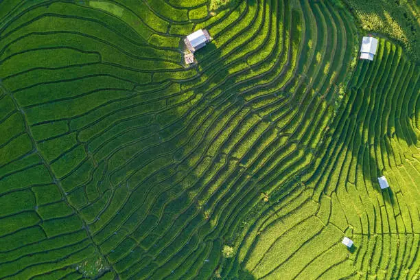 Aerial views of Small house and rice terraces field at pabongpaing village rice terraces Mae-Jam Chiang mai, Thailand