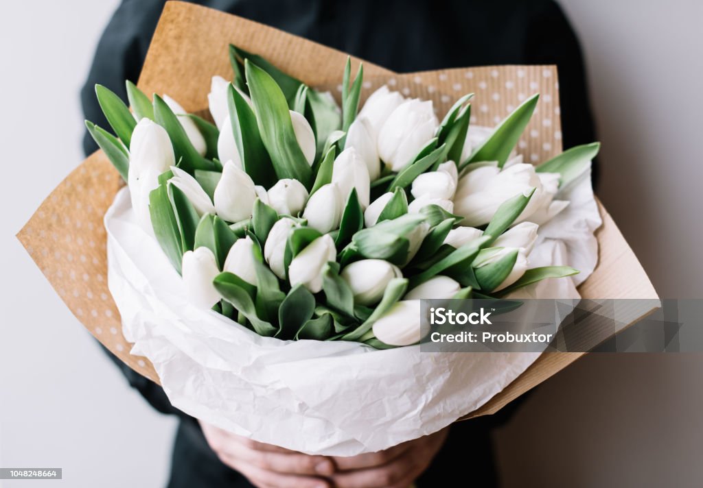 Very nice young man in a black shirt holding a huge blossoming flower bouquet of fresh white tulips on the grey wall background Tulip Stock Photo